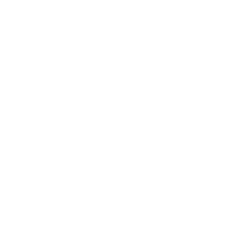 EcoVadis logo